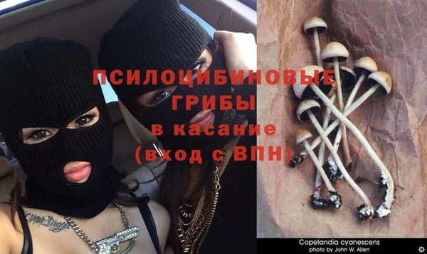 прущий лед Корсаков