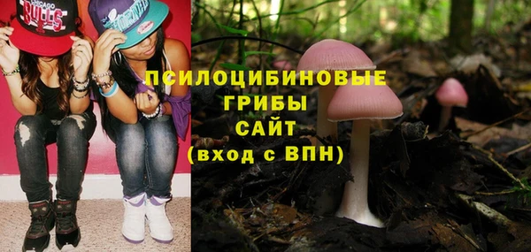 прущая мука Краснослободск