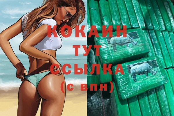 прущий лед Корсаков