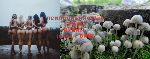 прущий лед Корсаков