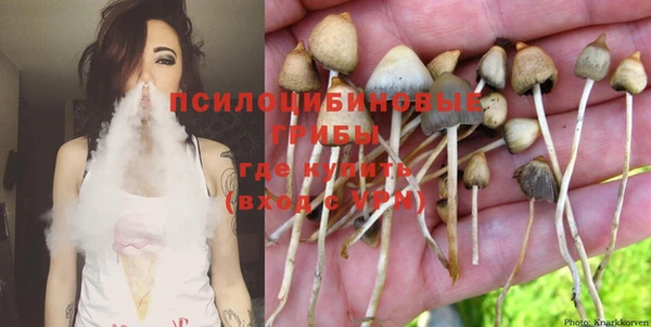 прущая мука Краснослободск