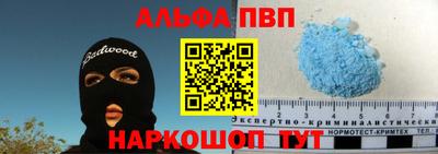 амф Гусев