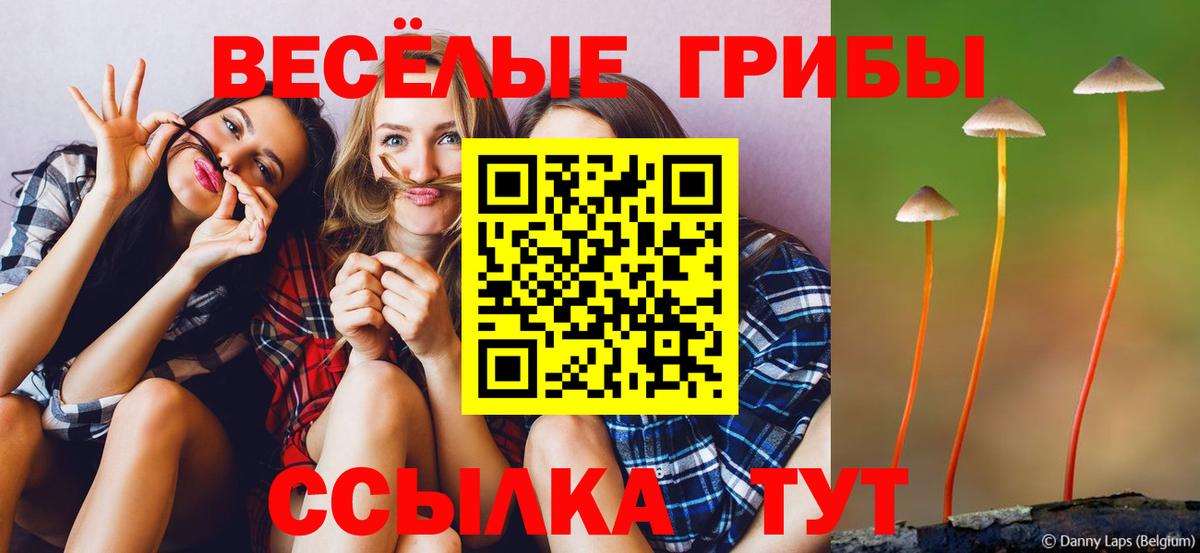 Новый Уренгой  Псилоцибиновые грибы мухоморы  Вход с VPN  Галлюциногенные грибы Psilocybine cubensis 
